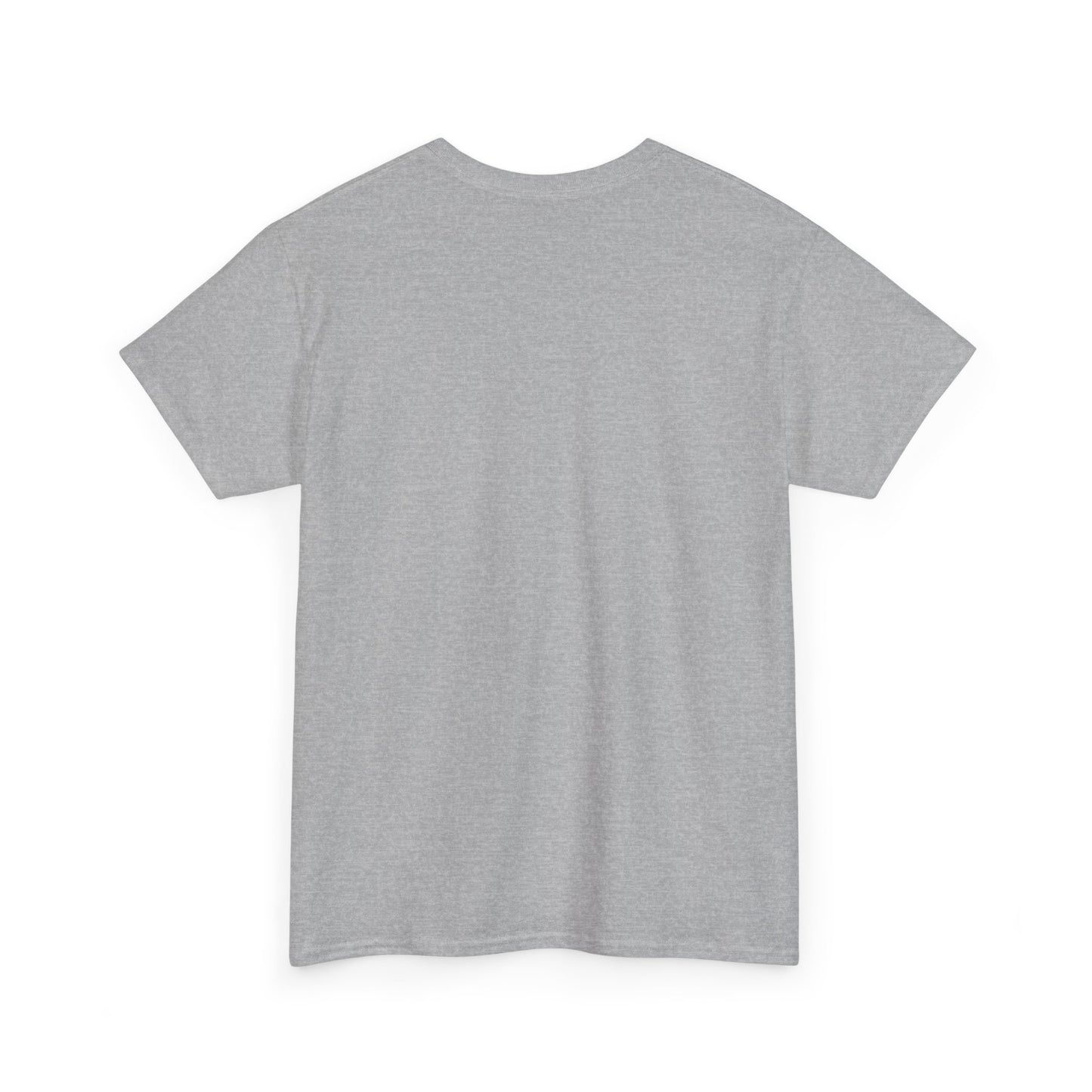 Salt TEE Shirt — Unisex Heavy Cotton Tee, Smooth Print Surface
