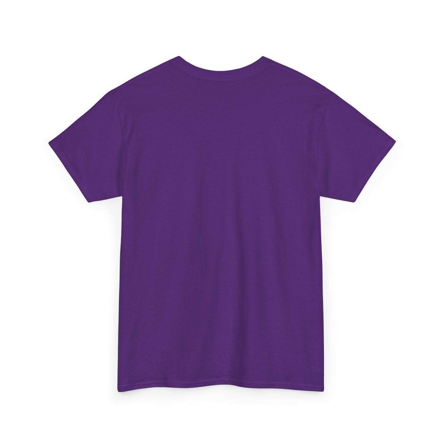 Salt TEE Shirt — Unisex Heavy Cotton Tee, Smooth Print Surface