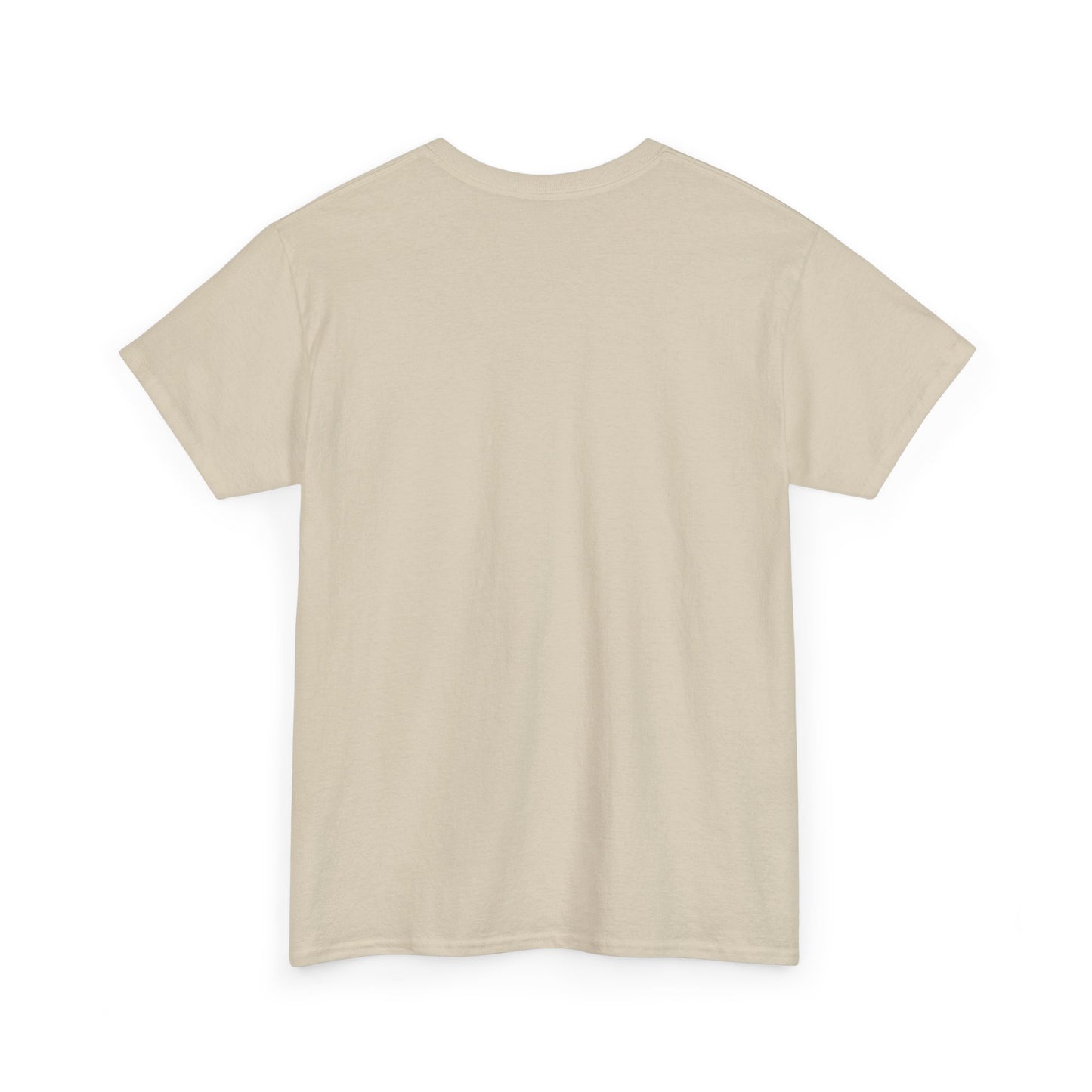 Salt TEE Shirt — Unisex Heavy Cotton Tee, Smooth Print Surface