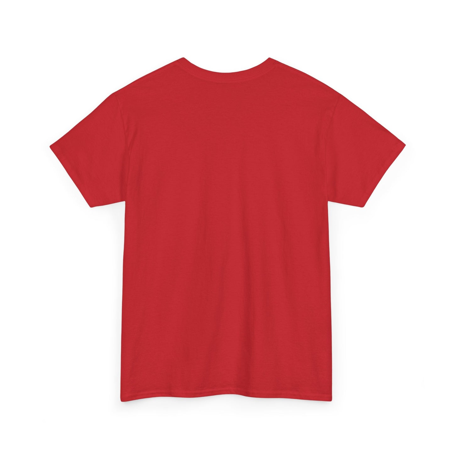 Salt TEE Shirt — Unisex Heavy Cotton Tee, Smooth Print Surface