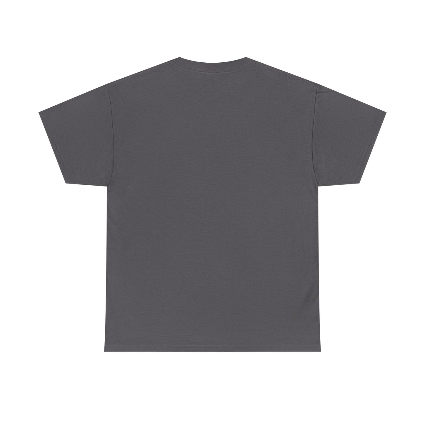 Salt TEE Shirt — Unisex Heavy Cotton Tee, Smooth Print Surface