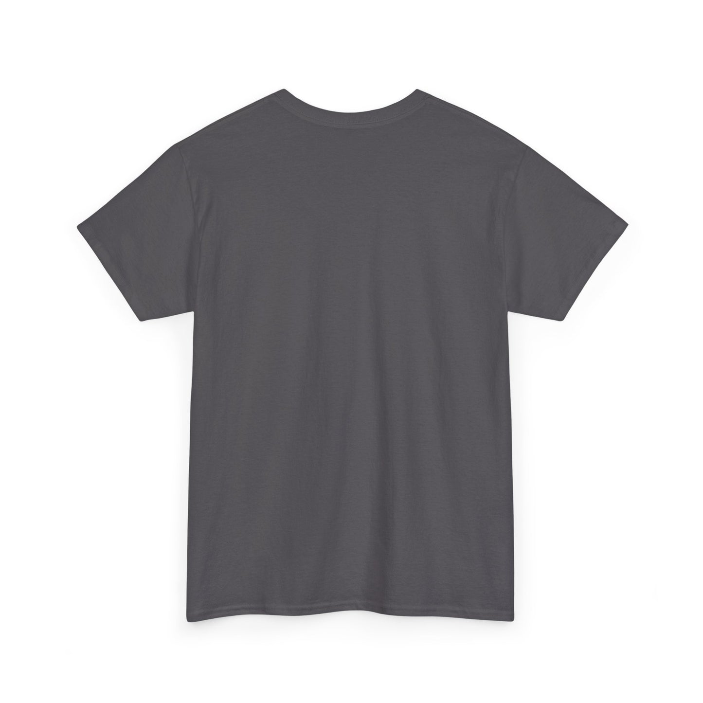 Salt TEE Shirt — Unisex Heavy Cotton Tee, Smooth Print Surface