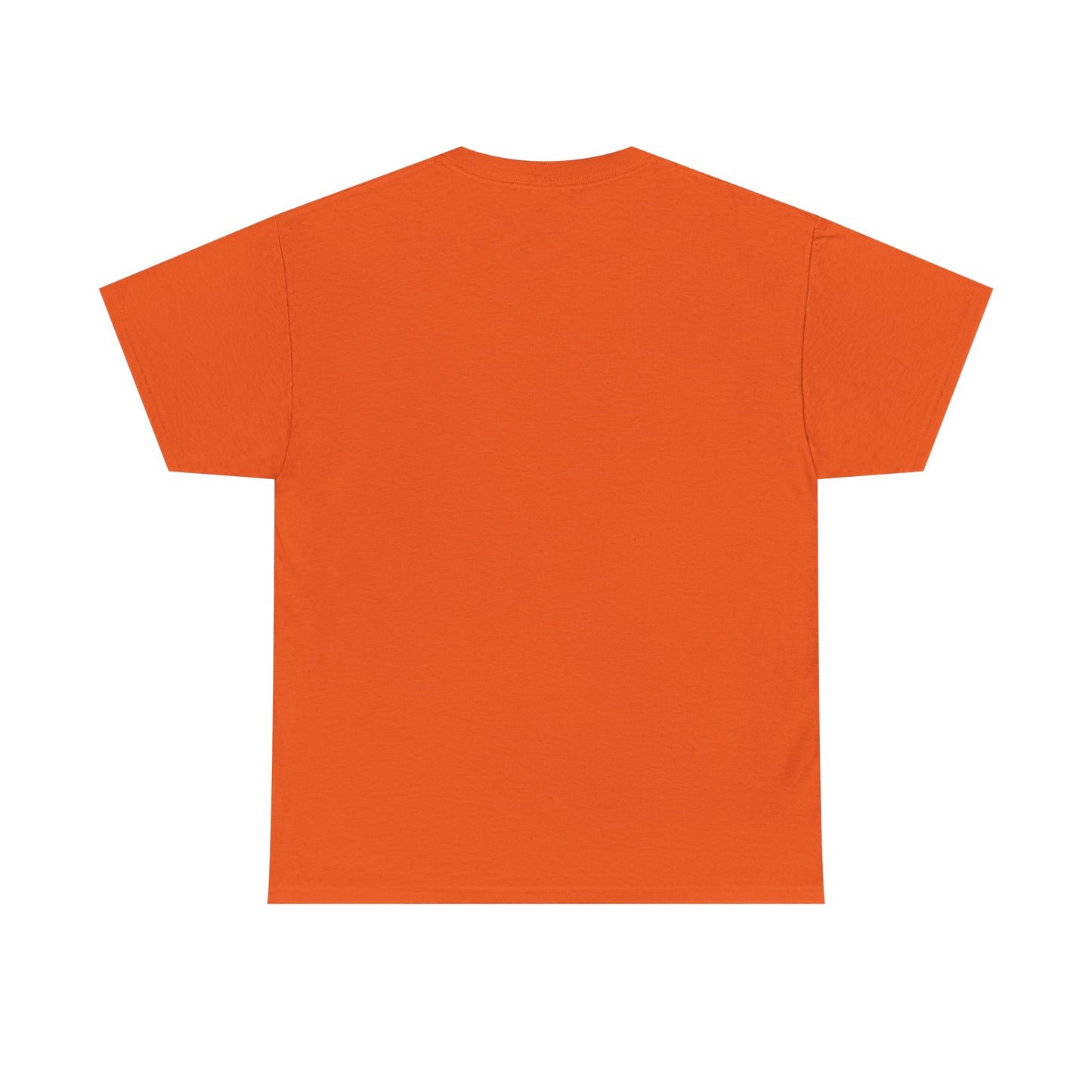 Salt TEE Shirt — Unisex Heavy Cotton Tee, Smooth Print Surface