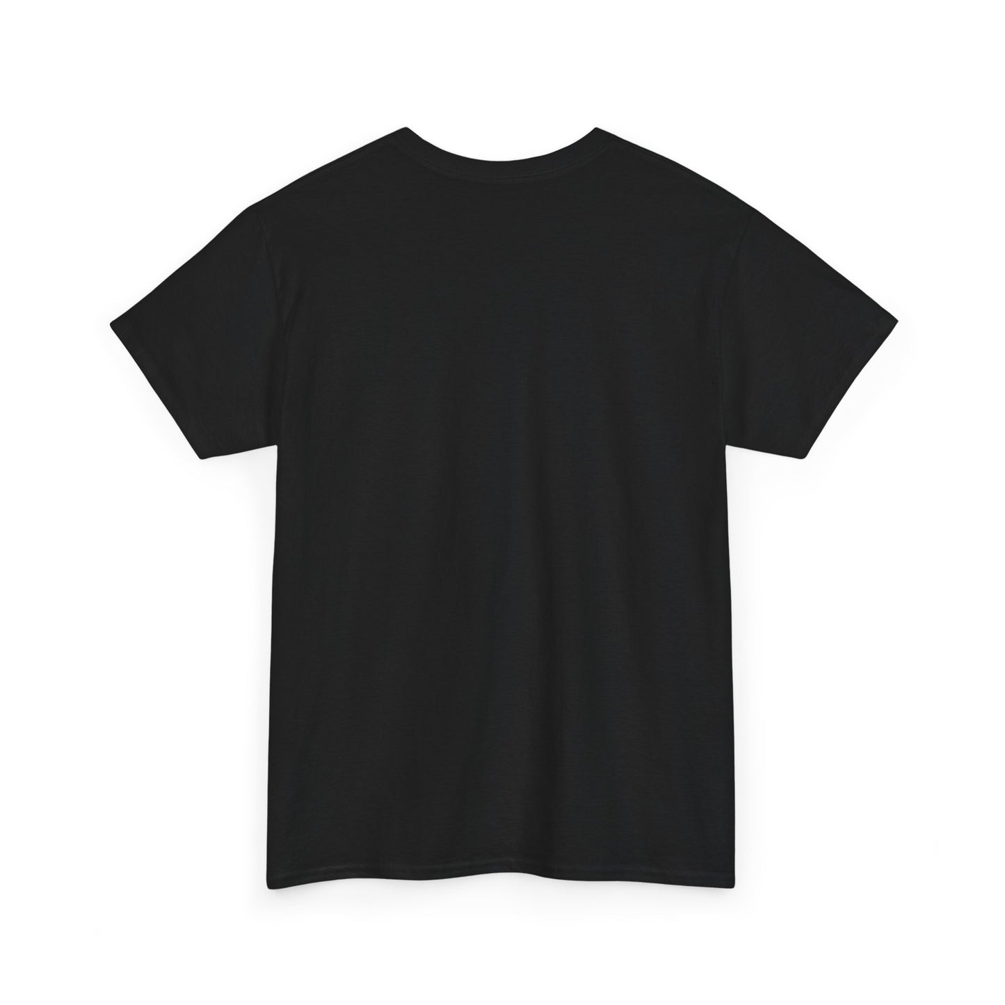Salt TEE Shirt — Unisex Heavy Cotton Tee, Smooth Print Surface